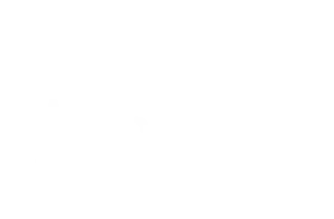 Amalgama Actores